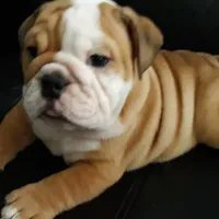 processed/cda464c1-2b7f-42da-86a7-c25a66ec1dcd/facility/525ac3f8-fcf8-4893-9174-e36ff2309316