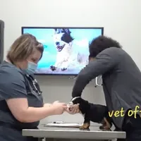 processed/cda464c1-2b7f-42da-86a7-c25a66ec1dcd/facility/88cd01f7-1fa0-4435-9058-ed8b3569e743