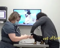 processed/cda464c1-2b7f-42da-86a7-c25a66ec1dcd/facility/88cd01f7-1fa0-4435-9058-ed8b3569e743