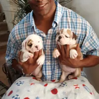 processed/cda464c1-2b7f-42da-86a7-c25a66ec1dcd/facility/9a25e6bf-c90f-4326-a757-fdc06927563d