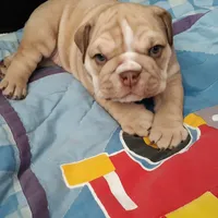 processed/cda464c1-2b7f-42da-86a7-c25a66ec1dcd/facility/9ee16688-2cfa-470d-ae34-1d93f8122f2f