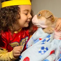 processed/cda464c1-2b7f-42da-86a7-c25a66ec1dcd/facility/b5672299-971a-42e1-ab29-ddc24ea97ef1