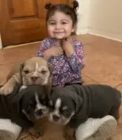 processed/cda464c1-2b7f-42da-86a7-c25a66ec1dcd/facility/bdf96b8a-1efb-4805-b090-9a76079c0056