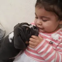 processed/cda464c1-2b7f-42da-86a7-c25a66ec1dcd/facility/d619d77e-0dce-4408-bfb3-3545f9abd6f3