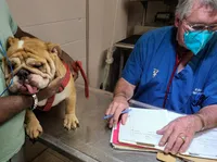 processed/cda464c1-2b7f-42da-86a7-c25a66ec1dcd/facility/fa735a21-1f68-4722-b297-f890b81bc2fb