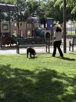 Freckles, a male Australian Shepherd for sale in Colton, CA – Photo 8 of 8