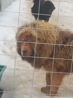 processed/cdb55bb2-3276-4435-9a6b-f0c2acd08c6b/listing/6bdea7b0-0da6-4036-908f-9c67441f76b3/408b4c30-c7f5-460a-a3e0-75e20eb8f0ad