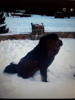 processed/cdb55bb2-3276-4435-9a6b-f0c2acd08c6b/listing/6bdea7b0-0da6-4036-908f-9c67441f76b3/6831ee19-a821-475e-80b6-6fe04e2de423