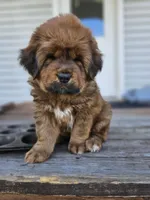 processed/cdb55bb2-3276-4435-9a6b-f0c2acd08c6b/listing/e78914d2-92e3-4f72-b00d-a362d53ceff1/699bb756-6001-4238-94fb-8a1c1117d07d