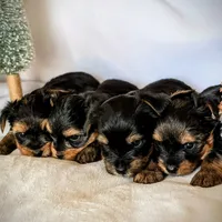 processed/cdbb6e6d-9227-4d7e-98ea-0eb4d8f22e05/facility/78568bd7-ddf8-4815-aec7-03d42a09b5cc