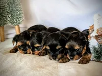 processed/cdbb6e6d-9227-4d7e-98ea-0eb4d8f22e05/facility/78568bd7-ddf8-4815-aec7-03d42a09b5cc