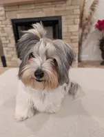 processed/cdbb6e6d-9227-4d7e-98ea-0eb4d8f22e05/facility/bf42426c-3b79-4ff3-8789-32d742a86987