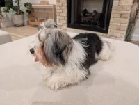 processed/cdbb6e6d-9227-4d7e-98ea-0eb4d8f22e05/facility/e38a6f71-3151-4aef-a5ee-08a925f9950a