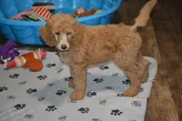 processed/cdc504af-cd20-4c80-b4a2-d545a828aff4/listing/59920aa6-067c-47d5-9c6a-f4cbe6769a48/b4d556b4-e3a3-4f65-b0f9-6a05482a33ec