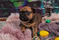 processed/cdc7b7b5-8adb-4ebf-962b-086c4ceb1d0c/listing/0fcbda93-1844-4684-a48f-199696c26168/2aaac2b0-a3ee-4898-90b8-a9b693989671