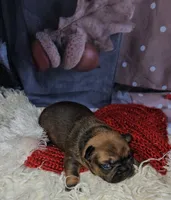 processed/cdc7b7b5-8adb-4ebf-962b-086c4ceb1d0c/listing/0fcbda93-1844-4684-a48f-199696c26168/efeb6df2-4cae-4ad8-a904-c5a0f26473bc