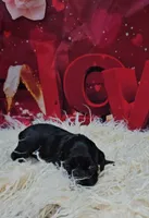 processed/cdc7b7b5-8adb-4ebf-962b-086c4ceb1d0c/listing/1ead47d8-a4b2-4046-9622-01e257d9acd9/6c893f18-0fe5-4514-aca4-6ca39502e0c3