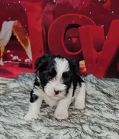 processed/cdc7b7b5-8adb-4ebf-962b-086c4ceb1d0c/listing/2c52c59a-0840-4642-9de6-b8fee56e76e7/85c21cb9-58e3-467d-b353-8c3603ac452d