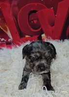 processed/cdc7b7b5-8adb-4ebf-962b-086c4ceb1d0c/listing/752cf190-cd46-4ecc-ac84-086af731e6ec/98ca79b7-b416-4fab-bb99-1875df04f06d