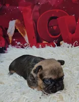 processed/cdc7b7b5-8adb-4ebf-962b-086c4ceb1d0c/listing/a6b83ef0-44f4-4000-910e-50f1ae9eeb06/07c43784-2ee8-4212-b382-17ee8e60f718