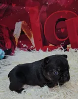 processed/cdc7b7b5-8adb-4ebf-962b-086c4ceb1d0c/listing/ca8318b0-462c-45f3-abd0-c4e70fb93f07/487a42fa-edb3-4947-9034-c38123f26e00