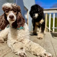 processed/cdc8d175-6cef-471e-8ddc-a0c00e0aae33/facility/05659569-49e8-449c-8818-107edcf83fac