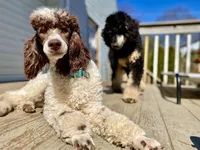 processed/cdc8d175-6cef-471e-8ddc-a0c00e0aae33/facility/05659569-49e8-449c-8818-107edcf83fac