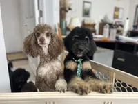 Facility photo