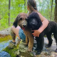 processed/cdc8d175-6cef-471e-8ddc-a0c00e0aae33/facility/40749e74-47c9-47b0-9ede-e1b483140e95