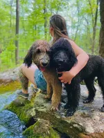 processed/cdc8d175-6cef-471e-8ddc-a0c00e0aae33/facility/40749e74-47c9-47b0-9ede-e1b483140e95