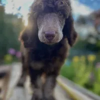 processed/cdc8d175-6cef-471e-8ddc-a0c00e0aae33/facility/46386c1c-ce62-4fd1-a12b-b563851b17e8