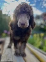 processed/cdc8d175-6cef-471e-8ddc-a0c00e0aae33/facility/46386c1c-ce62-4fd1-a12b-b563851b17e8