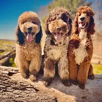 processed/cdc8d175-6cef-471e-8ddc-a0c00e0aae33/facility/88287d40-0b89-4ac4-aa3b-db86b859c72f