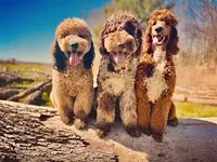 processed/cdc8d175-6cef-471e-8ddc-a0c00e0aae33/facility/88287d40-0b89-4ac4-aa3b-db86b859c72f