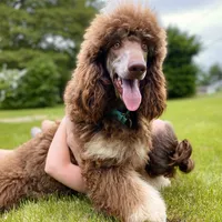 processed/cdc8d175-6cef-471e-8ddc-a0c00e0aae33/facility/98c9f362-548c-49cb-897c-51c91d118fbe