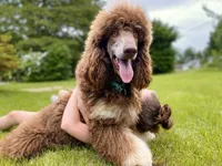 processed/cdc8d175-6cef-471e-8ddc-a0c00e0aae33/facility/98c9f362-548c-49cb-897c-51c91d118fbe