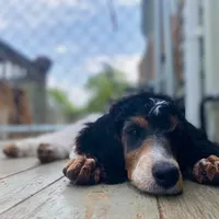 processed/cdc8d175-6cef-471e-8ddc-a0c00e0aae33/facility/c53f8360-79ca-4646-8113-4862fde66859