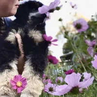 processed/cdc8d175-6cef-471e-8ddc-a0c00e0aae33/facility/ccf57bcc-0d9f-4ed7-afde-240646398492