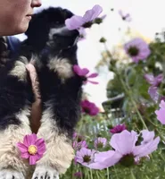 processed/cdc8d175-6cef-471e-8ddc-a0c00e0aae33/facility/ccf57bcc-0d9f-4ed7-afde-240646398492