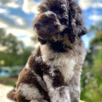 processed/cdc8d175-6cef-471e-8ddc-a0c00e0aae33/facility/ed0b139d-8607-4547-9a82-32266398d519