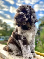 processed/cdc8d175-6cef-471e-8ddc-a0c00e0aae33/facility/ed0b139d-8607-4547-9a82-32266398d519