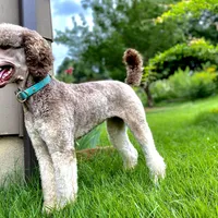 processed/cdc8d175-6cef-471e-8ddc-a0c00e0aae33/facility/eef59df1-2ffa-485f-984b-3f38b94c8cca