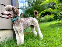 processed/cdc8d175-6cef-471e-8ddc-a0c00e0aae33/facility/eef59df1-2ffa-485f-984b-3f38b94c8cca