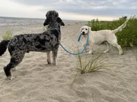 processed/cdc8d175-6cef-471e-8ddc-a0c00e0aae33/listing/a57a6e4e-75cb-407e-85d6-ccfb0dbd426b/5589f4ca-99d9-4fe5-80b5-f9ff00eae0c6