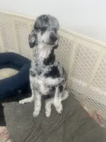 processed/cdc8d175-6cef-471e-8ddc-a0c00e0aae33/listing/a57a6e4e-75cb-407e-85d6-ccfb0dbd426b/5c47ff47-1e40-415c-9bd3-bb605c256f76