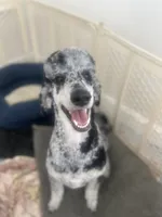 processed/cdc8d175-6cef-471e-8ddc-a0c00e0aae33/listing/a57a6e4e-75cb-407e-85d6-ccfb0dbd426b/c7f82f0c-cc53-489f-a8e9-0101026e1e00