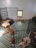 processed/cdcf9164-69ff-4e42-81f1-e6caf4337469/facility/03fd0c0b-f0ab-4368-9218-3a9ab01f3b83