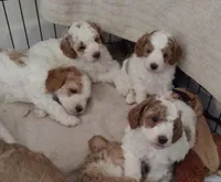 processed/cdcf9164-69ff-4e42-81f1-e6caf4337469/facility/2496d5da-7738-40c9-bd43-ad2d97ed6173