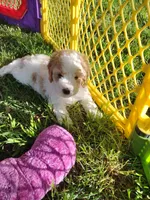 processed/cdcf9164-69ff-4e42-81f1-e6caf4337469/facility/5d96ebfa-e294-42ef-bc08-45b8a64d2c14