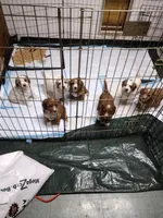 processed/cdcf9164-69ff-4e42-81f1-e6caf4337469/facility/7998c6e7-0b2d-4e2a-9a67-ecf65563a5b4